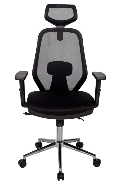 Ofisbazaar Dali Fileli Yönetici Koltuğu | Ergonomik Başlıklı Ofis Koltuğu Siyah Fileli