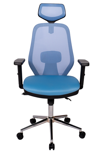Ofisbazaar Dali Fileli Yönetici Koltuğu | Ergonomik Başlıklı Ofis Koltuğu Açık Mavi