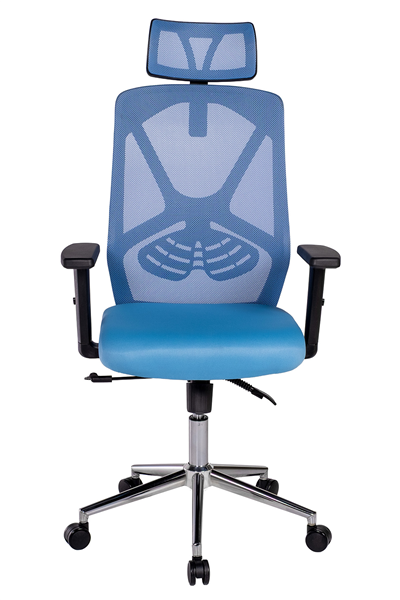 Ofisbazaar Dolphin Siyah Fileli Yönetici Koltuğu | Ergonomik Başlıklı Ofis Koltuğu Açık Mavi