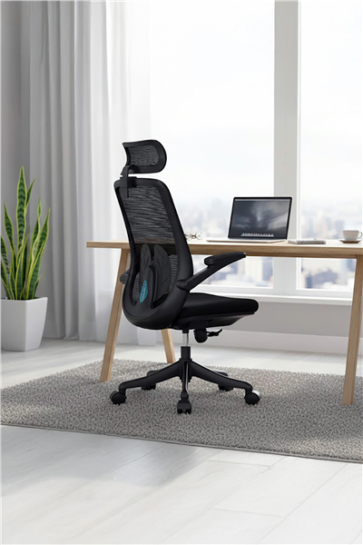 Ofisbazaar Sakura Ergonomik Fileli Yönetici Koltuğu | Başlıklı Ofis ve Çalışma Koltuğu Siyah