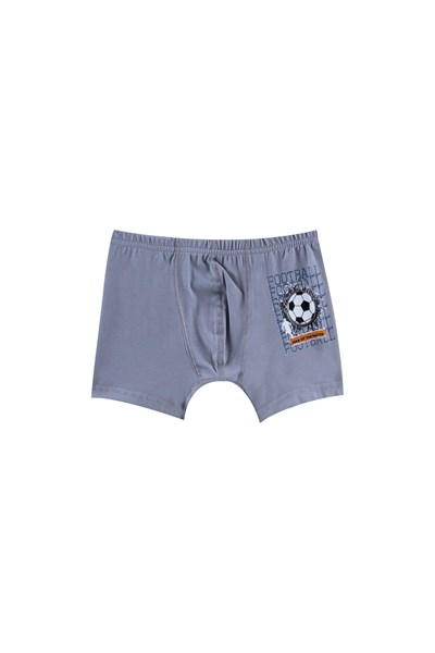 ERKEK ÇOCUK - Pamuklu Renkli Baskılı BOXER 10lu  paket
