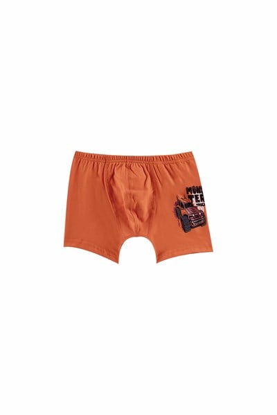 ERKEK ÇOCUK - Pamuklu Renkli Baskılı BOXER 10lu  paket
