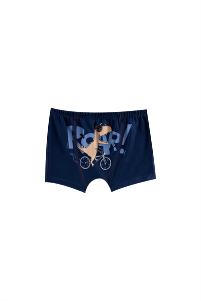 ERKEK COCUK CAMASIR - BOXER