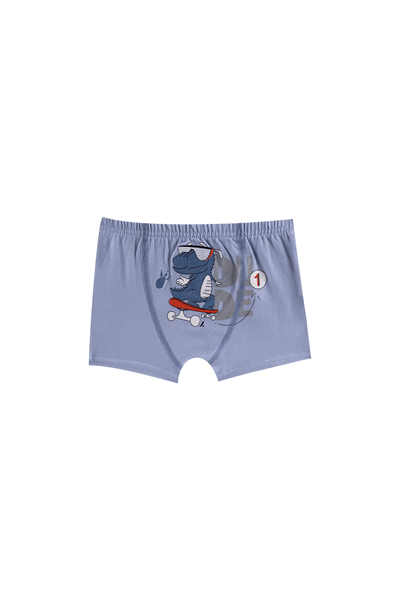 ERKEK COCUK CAMASIR - BOXER