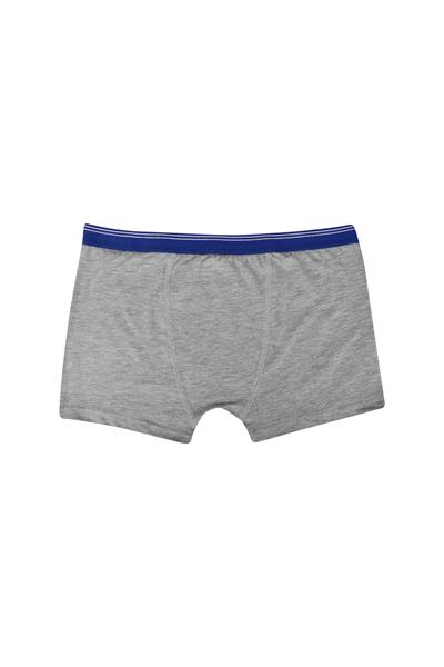 ERKEK GARSON-ÇAMAŞIR - BOXER