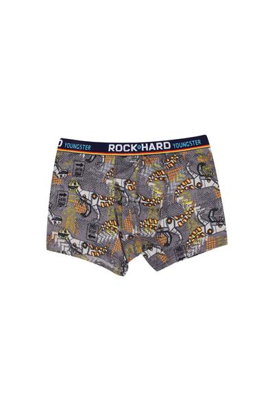 ERKEK GARSON-ÇAMAŞIR - BOXER