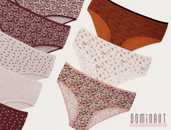 Wholesale Women’s Plus Size Panties