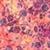 HARMONIC NEBULA GLITTER GEL  magicalpower 002  SONIC