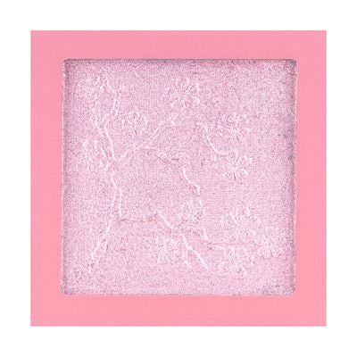 Highlighter ROLE MODEL  softdivalution 10g