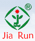 JIA RUN