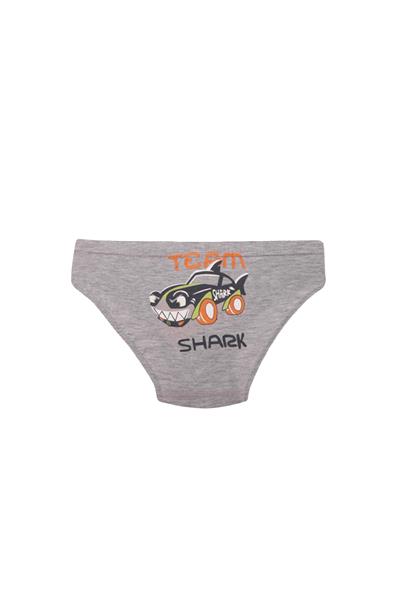 MENS UNDERWEAR - 2-PACK SLIPPERS