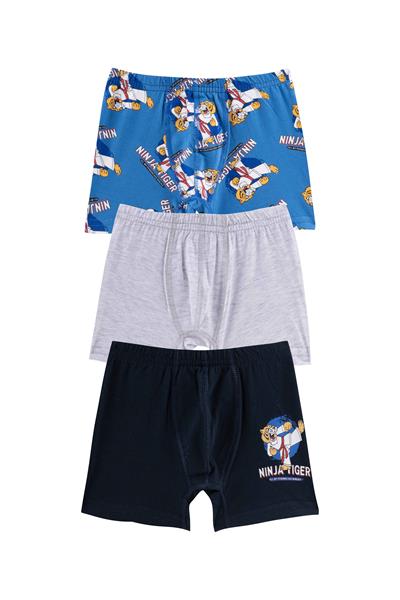 BOYS UNDERWEAR - 3-PACK BOXER SHORTS