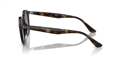 RAYBAN RB 2180 710/4l 51