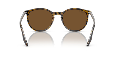RAYBAN RB 2204 139357 54