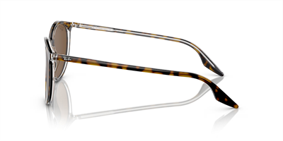 RAYBAN RB 2204 139357 54