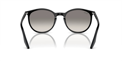 RAYBAN RB 2204 901/32 54