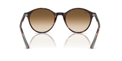 RAYBAN RB 2230 Bernard 902/51 51