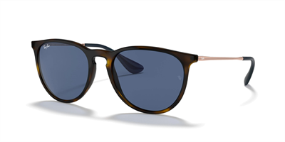RAYBAN RB 4171 Erika 639080 54