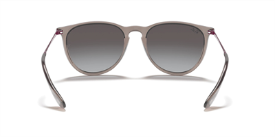 RAYBAN RB 4171 Erika 65138G 54