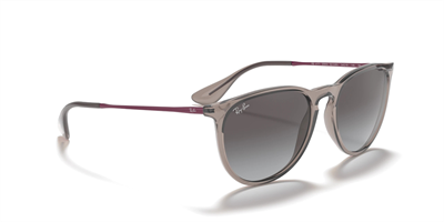RAYBAN RB 4171 Erika 65138G 54