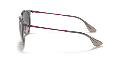 RAYBAN RB 4171 Erika 65138G 54