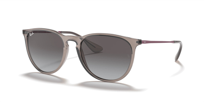 RAYBAN RB 4171 Erika 65138G 54