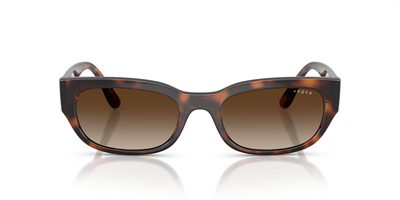 VOGUE VO 5669-S 271813 54