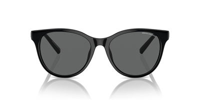 ARMANI EXCHANGE AX 4144SU 815887 54