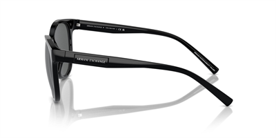 ARMANI EXCHANGE AX 4144SU 815887 54