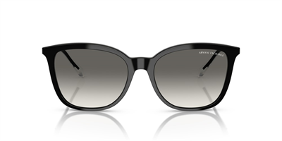 ARMANI EXCHANGE AX 4151S 815811 55