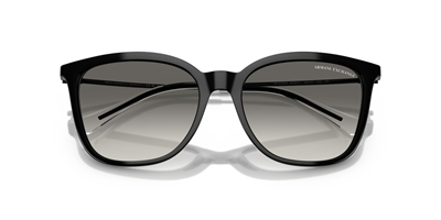 ARMANI EXCHANGE AX 4151S 815811 55