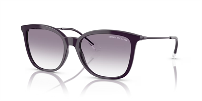 ARMANI EXCHANGE AX 4151S 836479 55