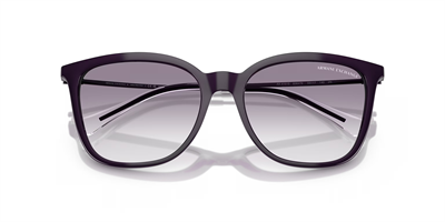 ARMANI EXCHANGE AX 4151S 836479 55