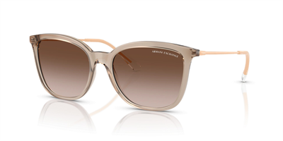 ARMANI EXCHANGE AX 4151S 836613 55