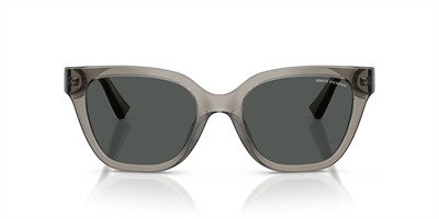 ARMANI EXCHANGE AX 4164SU 839487 53