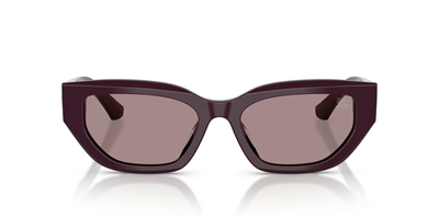 BURBERRY BE 4463 3400/LA 54