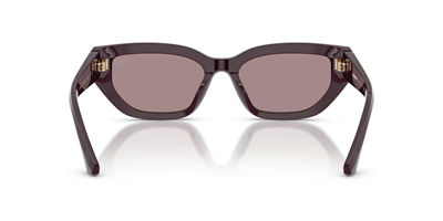 BURBERRY BE 4463 3400/LA 54