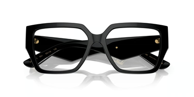 DOLCE GABBANA DG 3373 501 55