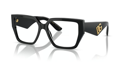 DOLCE GABBANA DG 3373 501 55