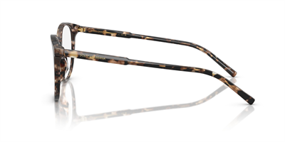 DOLCE GABBANA DG 3425 3438 52