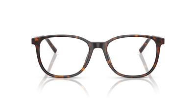 DOLCE GABBANA DG 3426 502 53