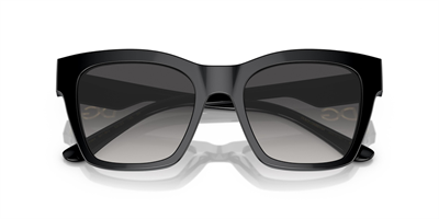 DOLCE GABBANA DG 4384 501/8G 53