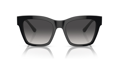 DOLCE GABBANA DG 4384 501/8G 53