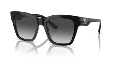 DOLCE GABBANA DG 4384 501/8G 53