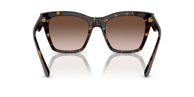 DOLCE GABBANA DG 4384 502/13 53