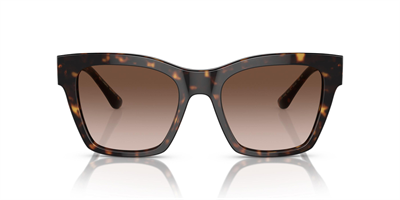 DOLCE GABBANA DG 4384 502/13 53