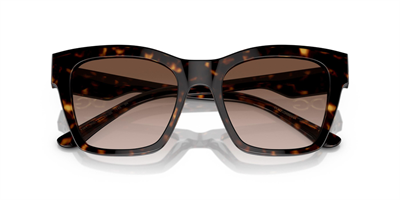 DOLCE GABBANA DG 4384 502/13 53