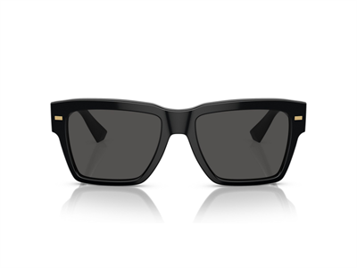 DOLCE GABBANA DG 4431 501/87 55