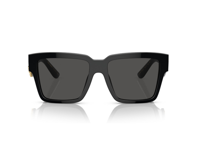 DOLCE GABBANA DG 4436 501/87 55