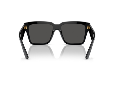 DOLCE GABBANA DG 4436 501/87 55